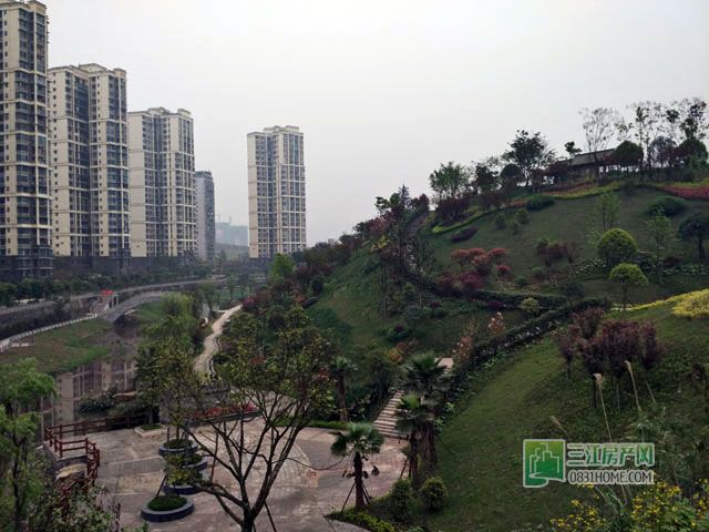 栖凤公园1.jpg