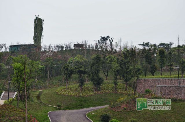 宋家坡公园.jpg