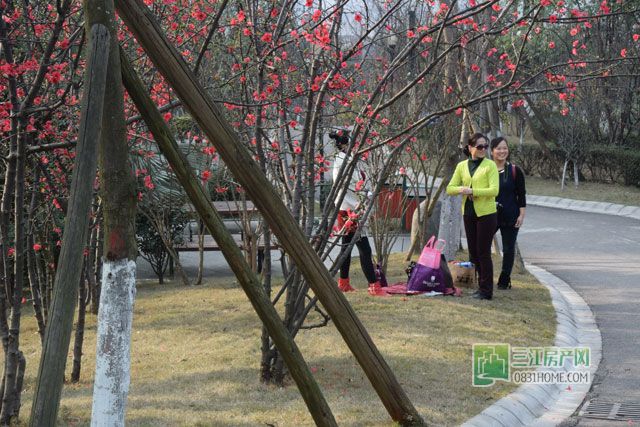 丝丽雅公园.jpg