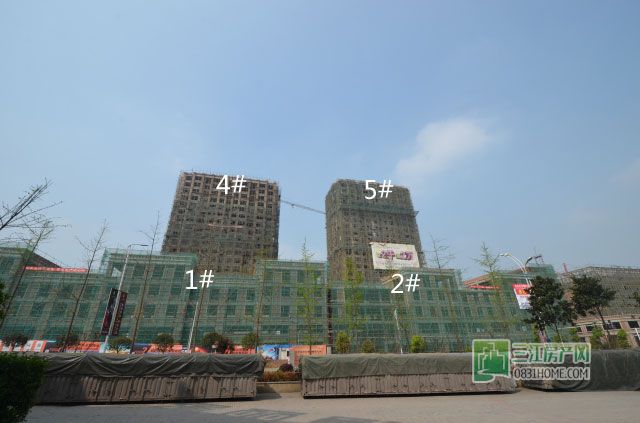 DSC_0013.jpg