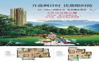 山水原著28#开盘倒计时 优惠限时抢
