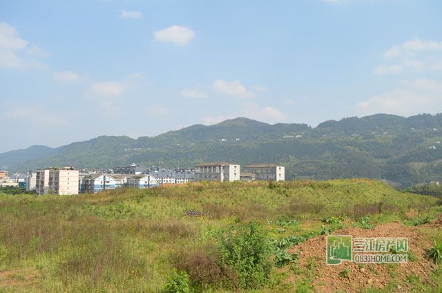 DSC_0115.jpg