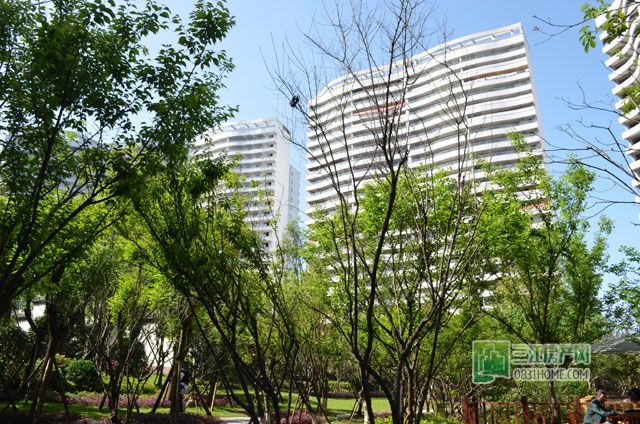 光影留痕 宜宾最美的风景竟然在丽雅龙城