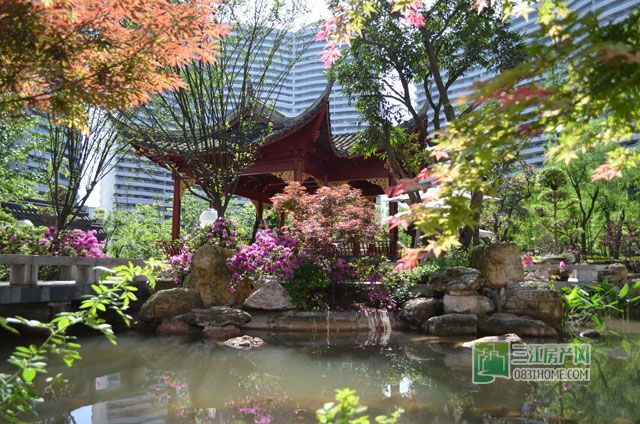 光影留痕 宜宾最美的风景竟然在丽雅龙城