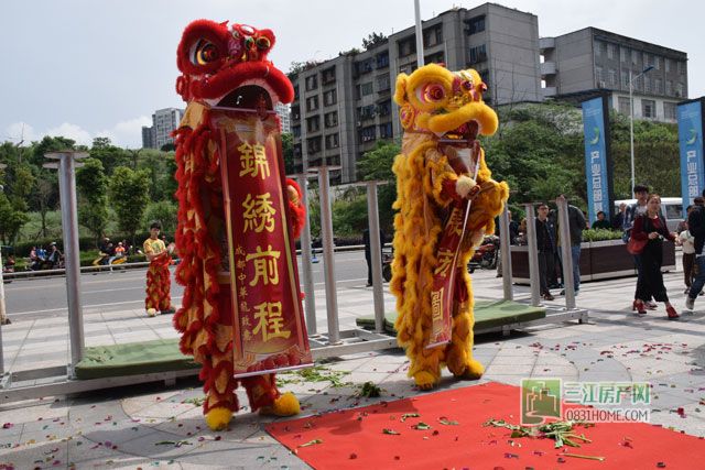3现场舞狮.jpg