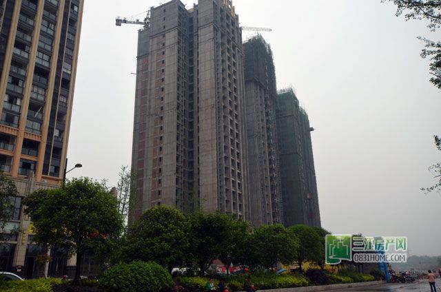 DSC_0090.jpg