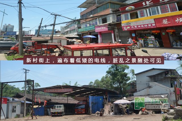 低矮的房屋.jpg