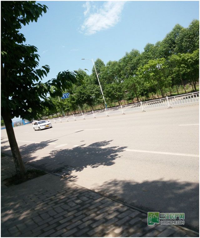林荫大道.jpg