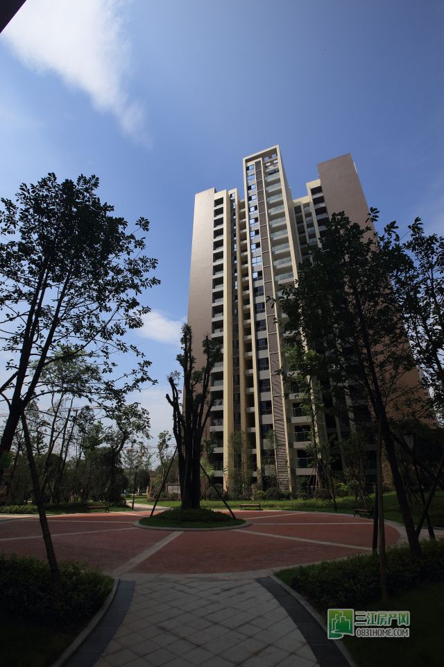 DPP_0031_编辑.jpg
