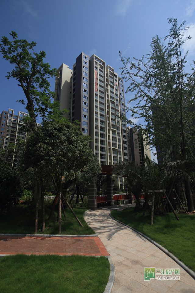 DPP_0071_编辑.jpg