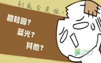 碧桂园or蓝光？宜宾和都国际“接盘侠”或将现身