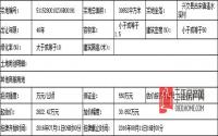 8月1日起 兴文县公开挂牌出让1宗商服用地