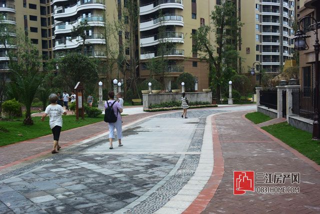 龙源府邸主干道.jpg