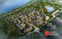 冯涛：丽雅大院是上游生活的专业版