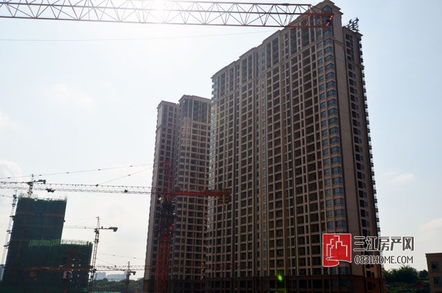 塞纳国际工程进度.jpg