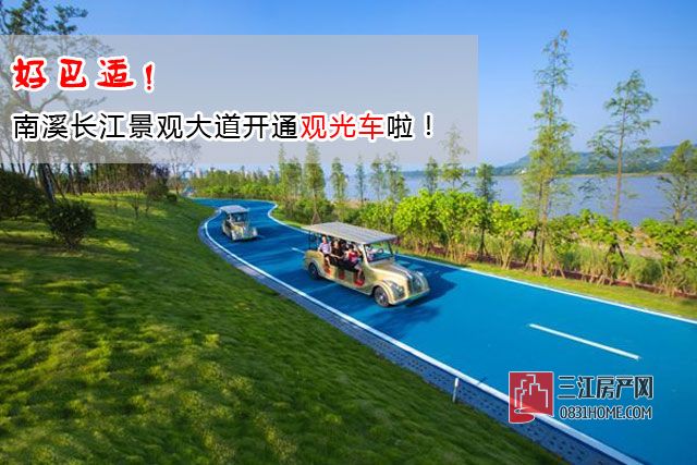 观光车.jpg