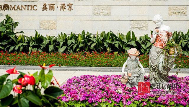 美丽·泽京.jpg