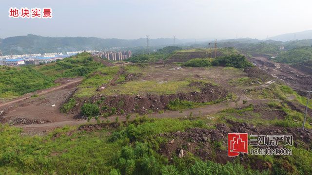 DJI_0008.jpg