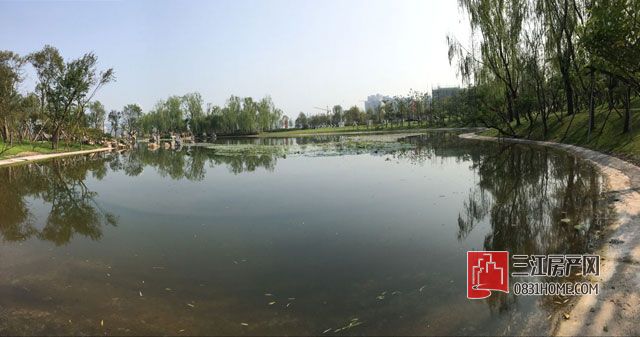 QQ图片20160823192534.jpg