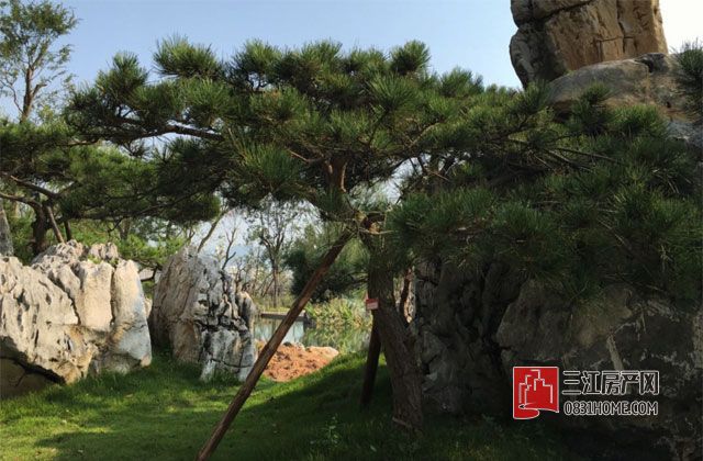 未标题-1111.jpg