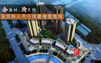 宜宾楼市大盘唱主角？下半年小体量项目扎堆入市！