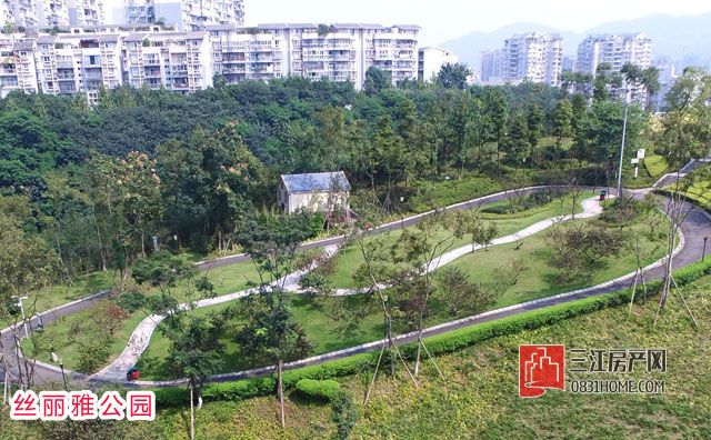 DJI_0065.jpg