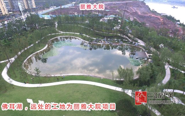 DJI_0008.jpg