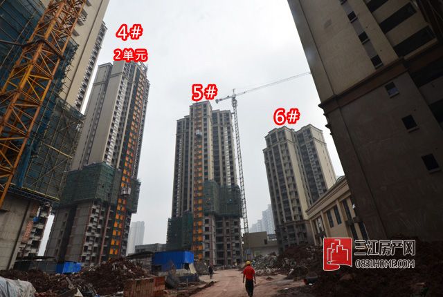 一期1.jpg