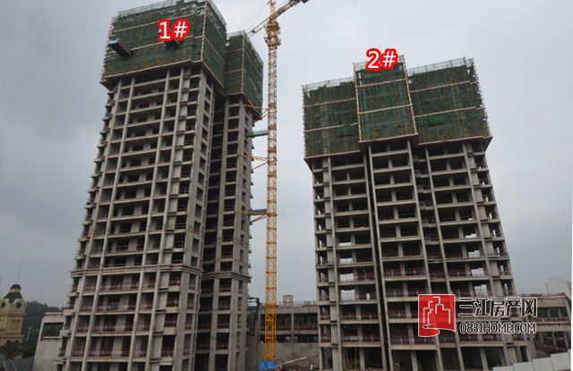 未标题-1.jpg