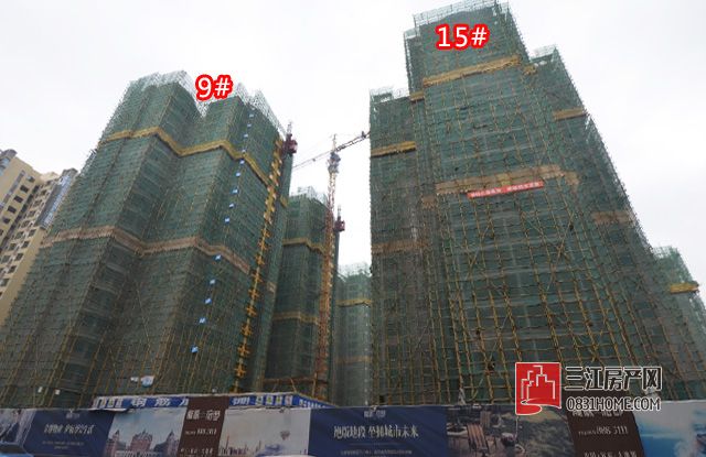 未标题-1.jpg