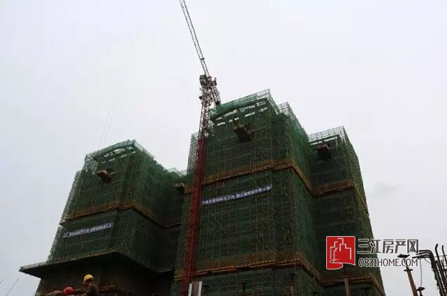 03.jpg