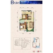 邦泰·国际社区（北区）B1型