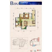邦泰·国际社区（北区）B2型