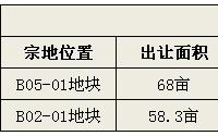紧邻中央公园 宜宾岷江新区B05-01地块会被谁拿下？
