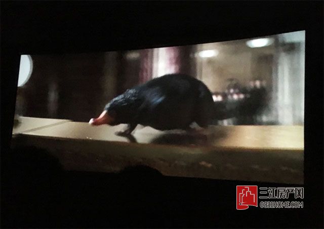 未标题-4.jpg