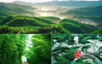 免费嗨竹海泡温泉 三江惠VIP客户五星神汤之旅倒计时