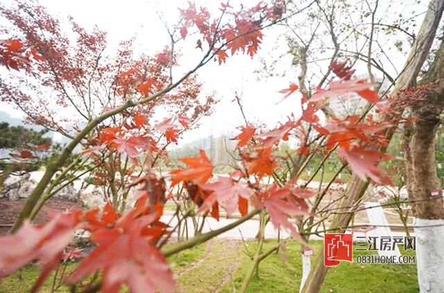 QQ截图20161227101814.jpg