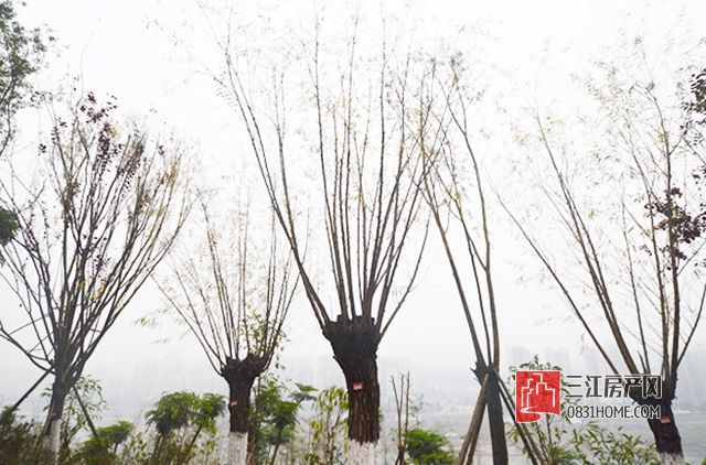 未标题-11.jpg