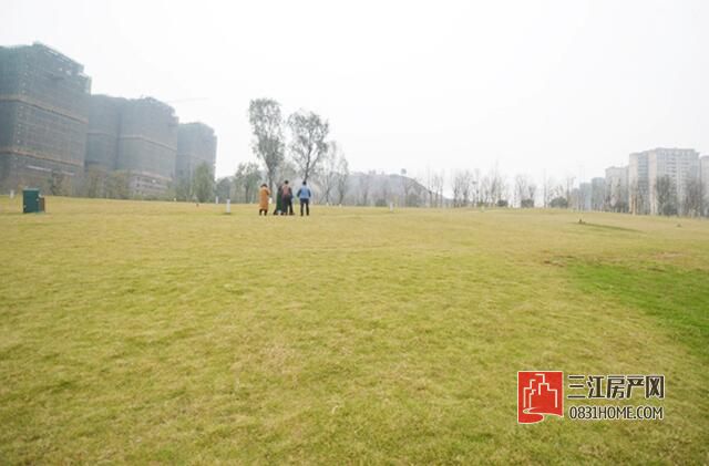 QQ截图20161227102217.jpg