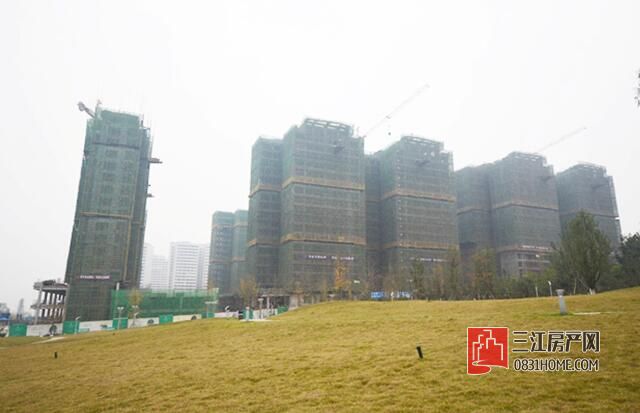 QQ截图20161227102234.jpg