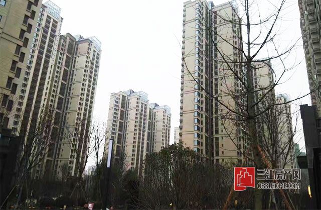 未标题-1.jpg