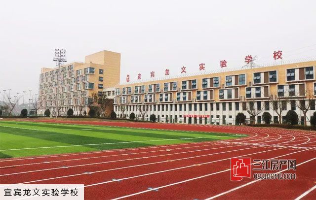 龙文.jpg