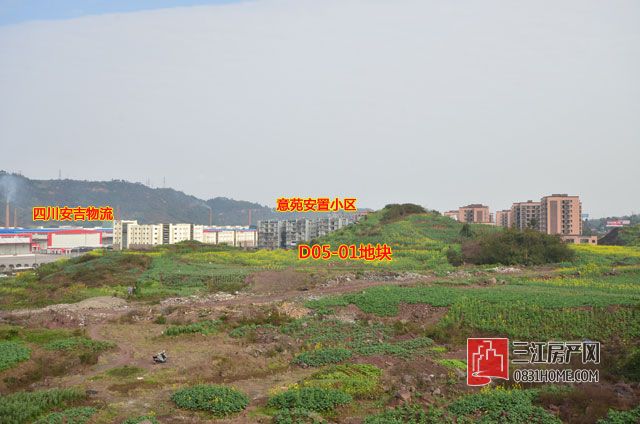 地块现状.jpg