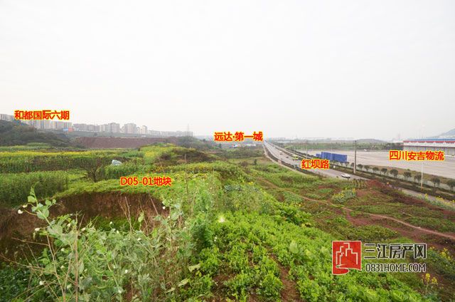 地块现状2.jpg
