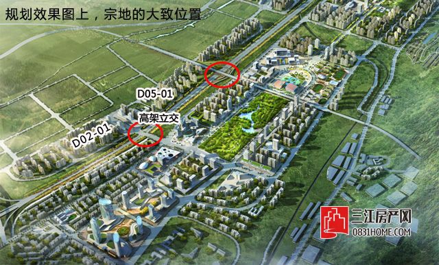 规划.jpg