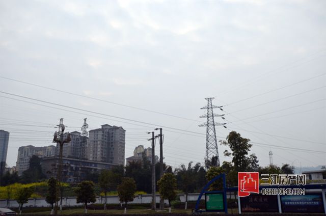 未标题-21.jpg