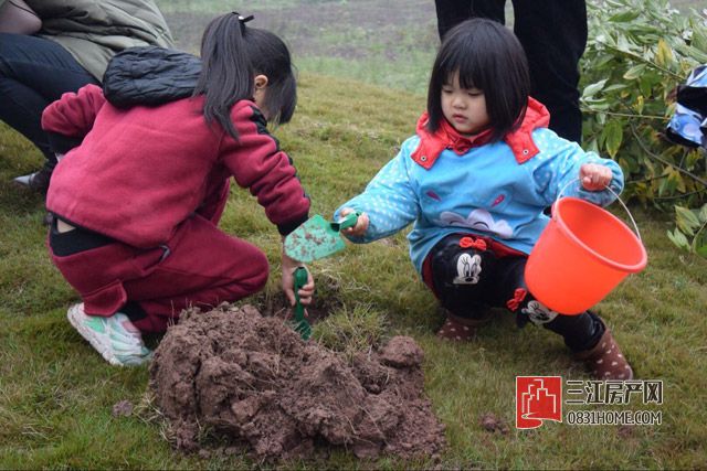 QQ图片20170312173640.jpg