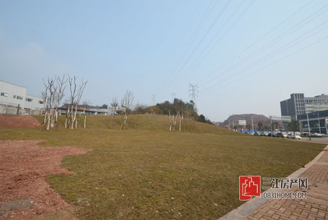 未标题-10.jpg