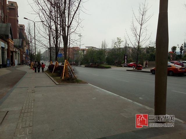 P70329-143959.jpg