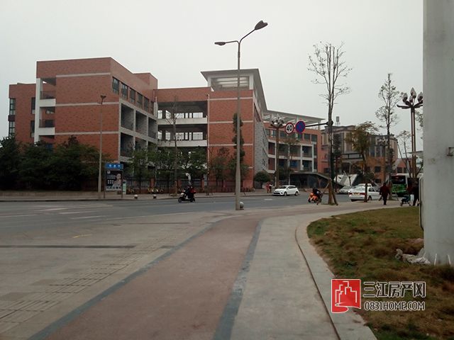 P70329-154714.jpg
